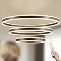 LAMPLAY Runde Moderne LED-Pendelleuchte, 3 Braun Ring-Kronleuchter, Dimmbar Mit Fernbedienung 3000K-6000K Deckenleuchte, Höhenverstellbar, Foyer, Wohnzimmer, Schlafzimmer, Esszimmer(Ø60+80+100cm)