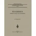 Flughäfen Entwicklungslage und Flugsicherung