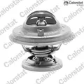 CALORSTAT by Vernet TH5699.85J Thermostat für Kühlmittel Thermostat
