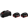 PRO Starter-Set 18V (2x GBA 18V 5.0Ah + GAL 1880 CV Professional), Ladegerät schwarz, 2x Akku + Ladegerät, AMPShare Alliance