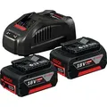 Bosch Professional Starter-Set GAL1880CV (2x5.0C) CL (1600A00B8J)