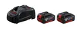 Starter-Set 2 x GBA 18V 5.0Ah + GAL 1880 CV