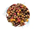 Warnick's Koifutter 8-Sorten-Mix mit Spirulina - 15 L, 6 mm - Fischfutter für Koi & Zierfrische - schwimmfähig & gut verdaulich