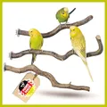 Sitzstangen für Vögel 3 x Wellensittich Zubehör Vogelkäfig Zubehör Vogelzubehör