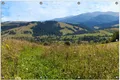 Wallario Outdoor-Poster für Garten oder Balkon, Motiv Bergwiese in den Karpaten, in ca. 100 x 150 cm