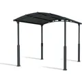 Canopia Carport Alpine 435 cm x 359 cm Grau