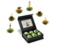 Creano Teebox Creano Geschenkset Teelini 6er mit Geschenkbox Magnet weiß grüner Tee