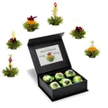 Creano Magnetbox mit Teeblumen grüner Tee, 6 Sorten in edeler Magnetbox