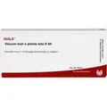 Viscum Mali E Planta Tota D60 10 ML
