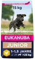 Eukanuba Hundefutter mit frischem Huhn für große Rassen, Premium Trockenfutter für Junior Hunde, 15 kg