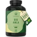 Amla Kapseln Vegan - 300 Stück x 500mg - Amla Fruchtpulver - TRUE NATURE®