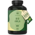 Bio Amla (Amalaki) Kapseln - 1500mg - 300 natürliche Amalaki Kapseln à 500mg für 100 Tage - 100% reinstes & hochwertiges Amla Fruchtpulver - hochdosiert, vegan - TRUE NATURE®