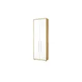 Büroschrank  Plane , holzfarben , Maße (cm): B: 75 H: 220 T: 35.0