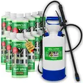 ABACUS® Nell Ultra Grünbelagentferner & Algenentferner, extrem stark! Entfernt Grünbelag & Algen selbsttätig mit Langzeitschutz – Algen- & Grünbelagentferner 12x1000ml mit Drucksprüher – Set XXL