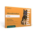 vetevo Allergietest Mikronährstofftest Mängel Hund, testet 38 essentielle Mikronährstoffe (Vitamine, Mineralstoffe, Aminosäuren, Omega 3) auf Mangel