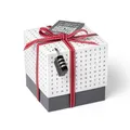 SURPRISA Geschenkbox