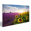 Bild Bilder auf Leinwand Lavendel und Sonnenblumen Felder, Provence Wandbild, Poster, Leinwandbild NTG