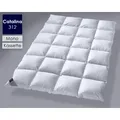 Billerbeck »312 Catalina« Daunendecken Kassette 2 / 200x200 cm / 1032g