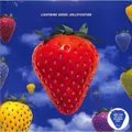 The Lightning Seeds / JOLLIFICATION (Blue Marbled LP) / Epic / 19802828821 / co