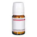 CEANOTHUS AMER D 6, 80 St