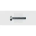 Swg - Gewindeschrauben-sortiment M6 20 Mm Kreuzschlitz Phillips Din 7985 Stahl Verzinkt 100 St.