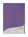 Clairefontaine 24216C - Packung mit 25 Karten Pollen 210g, DIN A4, 21 x 29,7cm, Violett