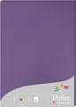 Clairefontaine Pollen Papier Violett 210g/m² DIN-A4 25 Blatt