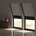 Woltu Thermo Dachfenster Rollo Ohne Bohren Sonnenschutz Verdunkelungsrollo Mit Saugnäpfen, Thermorollo Hitzeschutz Für Dachfenster 48x93 Cm, Grau