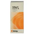 Synergon Komplex 78 Solidago N Tropfen 20 ml