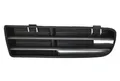 BLIC 6502-07-9523999P Ventilation Grille, bumper for VW