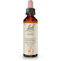 Bachblüten Aspen Tropfen 20 ml