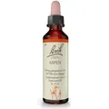 Bachblüten Aspen Tropfen 20 ml