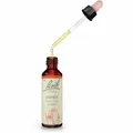 BACHBLÜTEN Aspen Tropfen 20 ml PZN00039723