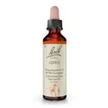 BACHBLÜTEN Aspen Tropfen 20 ml