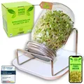 Sprossenzauber® Sprossenglas 1er Set 500ml – EdelstahlDeckel & Auffangschale ...
