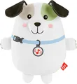 Fisher-Price Baby Plüsch-Spielzeug, Schlummer-Hündchen-Spieluhr, tragbar, Babys