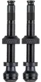 Schwalbe Tubeless-Ventil SCV 40 mm (2 Stück)