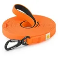 lionto Schleppleine für Hunde 5 m, strapazierfähig & wasserdicht mit weicher Neopren-Handschlaufe und Drehkarabiner, orange