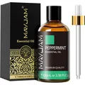 Ätherisches Pfefferminzöl 100ml Duft Diffuser Luftbefeuchter Aromatherapie