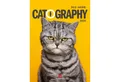 Ackermann Wandkalender Catography Katzen-Kalender 2026
