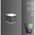 Paul Neuhaus LED Außenwandlampe Smart Home Q - AMIN  RGB+W Wandlampe dimmbar Fernbedienung Farbwechsel Alexa - Grau