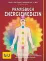 Praxisbuch Energiemedizin: Die Selbstheilungskräfte akti... | Buch | Zustand gut