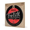 D'Addario EJ45 Pro-Arte Nylon-Saiten für Konzertgitarre, normale Spannung