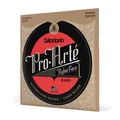 D'Addario EJ45 Pro-Arte Nylon Konzertgitarren-Saiten normale Spannung
