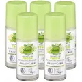 dm-drogerie markt GmbH & Co. KG Deo-Roller Fresh Minze & Bergamotte - alverde, 5-tlg., Deodorant, alverde Naturkosmetik