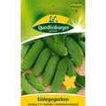Einlegegurke, Restina F1
