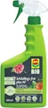 COMPO Schädlings-frei plus AF - Spray gegen Blattläuse, Schildläuse, Wollläuse, Buchsbaumzünsler & Co. - für Zierpflanzen und Kernobst - 500 ml - anwendungsfertiges Insektizid