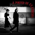 A Pound Of Feathers | The Black Crowes | Audio-CD | CD | 2026 | SILVER ARROW