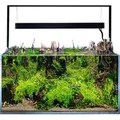 Aquarium AQUAEL UltraScape 90 mit LED Beleuchtung ca. 243 l OPTI-Glas, Weißglas, ohne Unterschrank forest