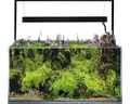 Aquarium AQUAEL UltraScape 90 mit LED Beleuchtung ca. 243 l OPTI-Glas, Weißglas,